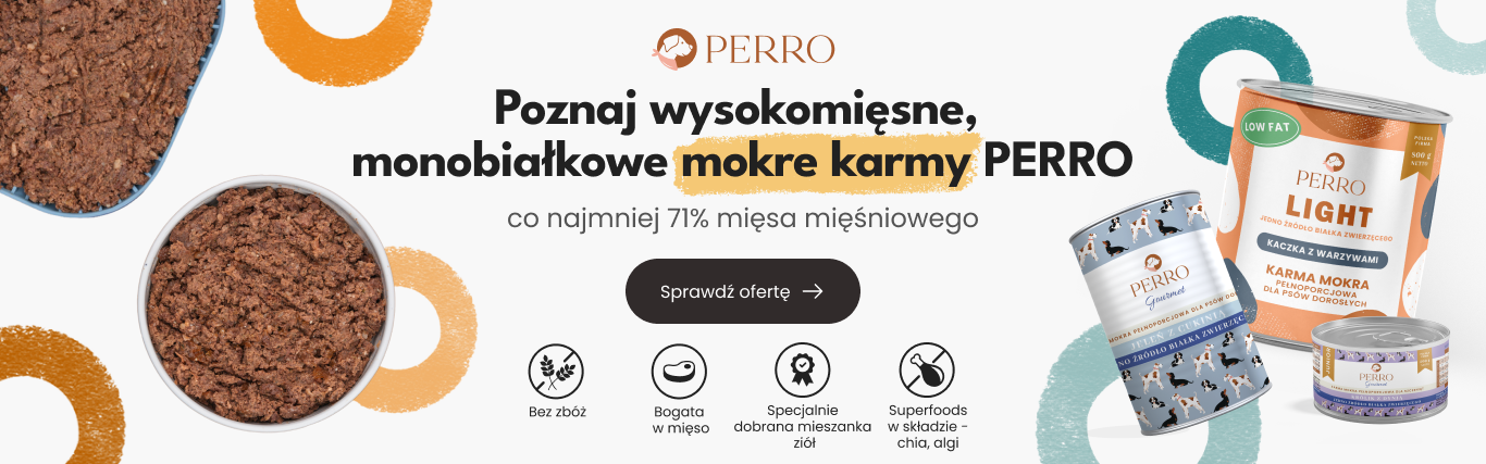 https://zoobiesiada.pl/perro